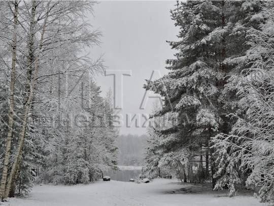 Продажа квартиры Ромашки, Ногирская, 5