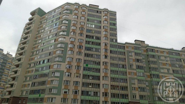 Продажа квартиры Кудрово, Австрийская, 4 к. 1
