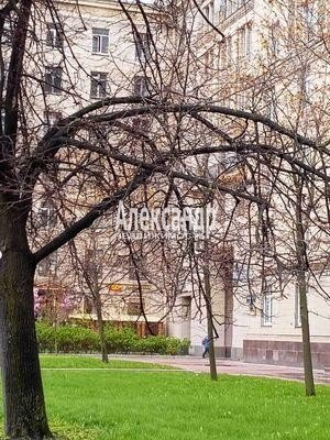 Продажа квартиры Московский, 205