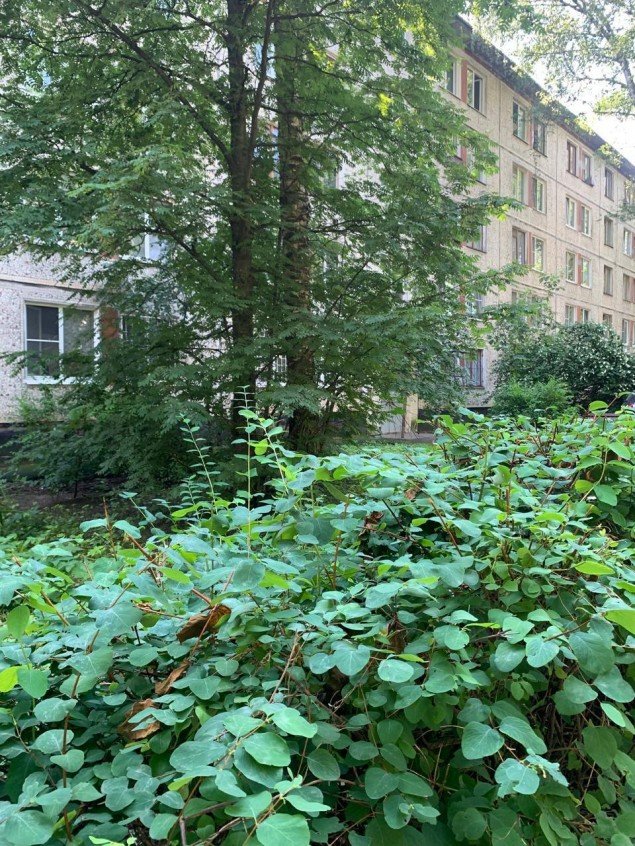 Продажа квартиры Колпино, Павловская, 54