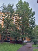 Бирюлёвская, 18к2