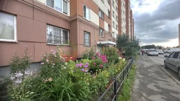 Шушары, Ленсоветовский, 21к1