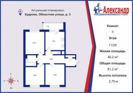 Кудрово, Новый Оккервиль, Областная, 3