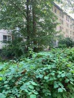 Колпино, Павловская, 54