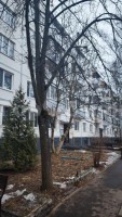 поселок ЛМС, 27