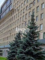 Московский, 205