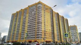 Мурино, Ручьевский проспект, 3 к. 1