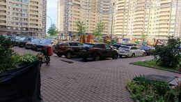 Ашукино, Пушкинская, 11к3