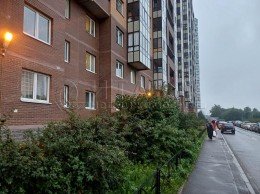 Новое Девяткино, Арсенальная, 1