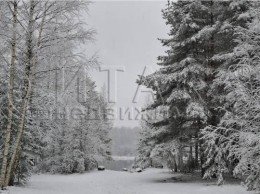 Ромашки, Ногирская, 5