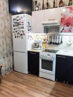 Подольск, Кузнечики, Академика Доллежаля, 13