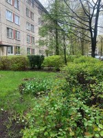 Колпино, Павловская, 54
