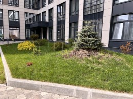 Белоостровская, 12 пар. 1