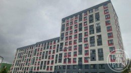 Янино-1, Голландская, 5 к. 3