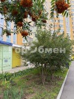Вертолётчиков, 9к1