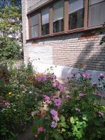 Сертолово, Заречная, 9к2