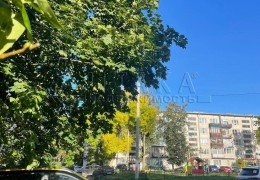 Низино, Центральная, 6