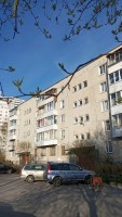 Парголово, Первого Мая, 97