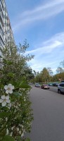 Северный, 24 к. 1
