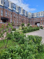 Петергофское, 84 к. 19 пар. 1
