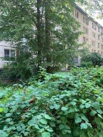 Колпино, Павловская, 54
