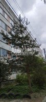 Щеглово, 75