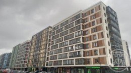 Янино-1, Янила Кантри, Тюльпанов, 1