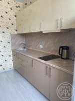 Шушары, Ростовская (Славянка), 24 к. 1