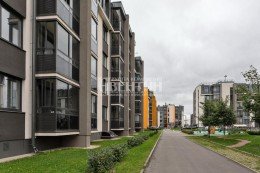 Пушкин, Камероновская, 5к2к1