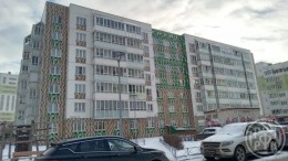 Янино-1, Голландская, 3 к. 1