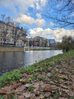 Белоостровская, 12к1