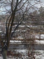 Щелково, Беляева, 7 литер а