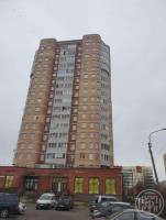 Сестрорецк, Токарева, 2