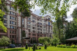 Сосны, 21