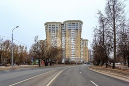 Яна Райниса, 31