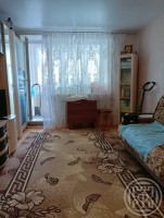 Пушкин, Красносельское, 67
