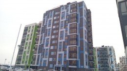 Янино-1, Янила Кантри, Тюльпанов, 2 к. 1