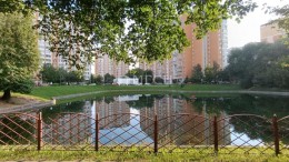 Грина, 14