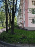 Светлановский, 119