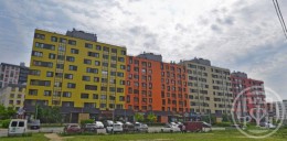 Янино-1, Голландская, 5