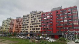 Янино-1, Голландская, 5