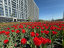 Продажа квартиры Серебрякова, 11к2