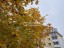 Продажа квартиры Всеволожск, Октябрьский, 75к2