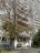 Продажа квартиры Грайвороновская, 17