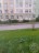 Продажа квартиры Сертолово, Сертолово-2, Тихвинская, 8 к. 5