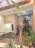 Продажа квартиры Широкая, 30