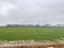 Продажа квартиры Бугры, Воронцовский, 11 к. 6