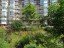 Продажа квартиры Всеволожск, 2
