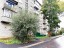 Продажа квартиры Волосово, Вингиссара, 86