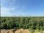 Продажа квартиры Пятницкое, 56 литер Б
